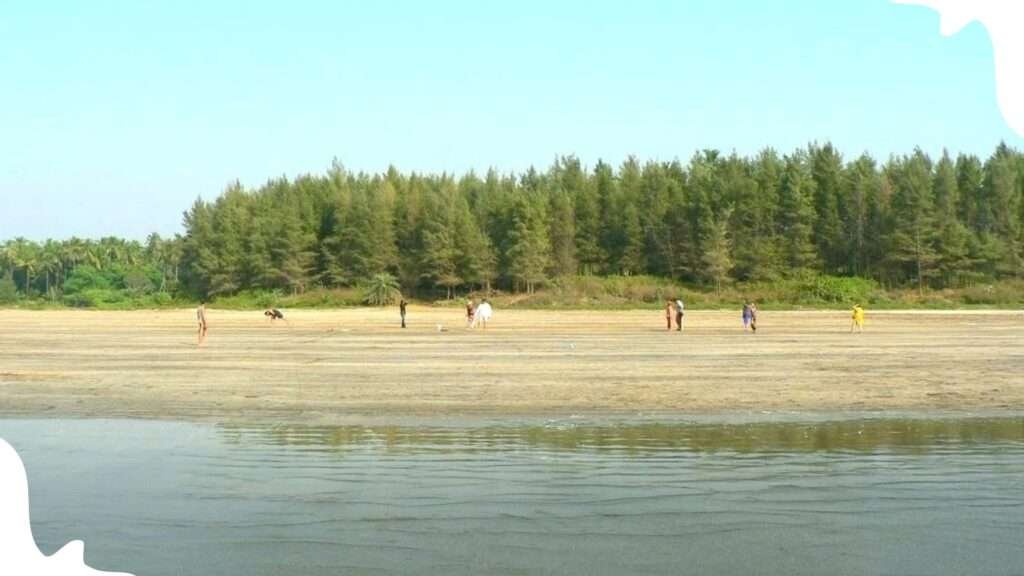 sasawane beach | Alibaug Beach Resorts